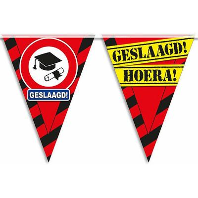 Geslaagd/afgestudeerd vlaggenlijn/slinger - waarschuwingsborden - 10 meter - plastic
