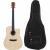 Fazley W70-DMNT ColourTune Dreadnought westerngitaar + gigbag