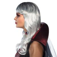 Halloween Verkleed pruik voor dames - grijs - Heksen - Fantasy - Carnaval - lang haar