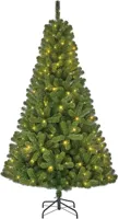 Black Box Trees Charlton verlichte kunstkerstboom groen 215cm - 360 lampjes