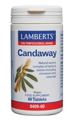 Lamberts Candaway