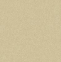 Dutch Wallcoverings Sauvage Uni - Beige