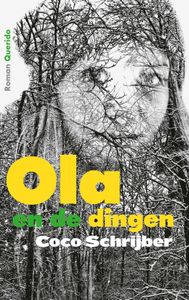 Ola en de dingen - Coco Schrijber - ebook