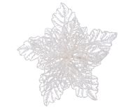Poinsettia plastic d23h10cm wit - Everlands