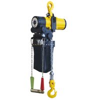 Delta Pneumatische kettingtakel | ATEX zone 2 | 3 m | 2 ton - CD.0.PH.0200.03 CD.0.PH.0200.03