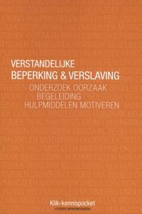 Verstandelijke beperking & verslaving (Paperback)