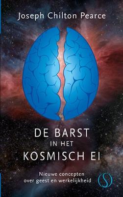 De barst in het kosmische ei (Hardback)