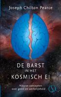 De barst in het kosmische ei (Hardback)