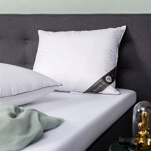 Dekbed Discounter Hoofdkussen - Eendendons Platinum 2 stuks