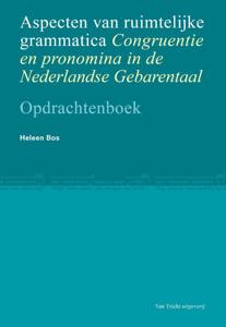 Aspecten van ruimtelijke grammatica (Paperback)