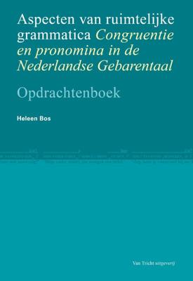 Aspecten van ruimtelijke grammatica (Paperback)