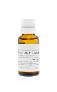 Hydrastis canadensis D6