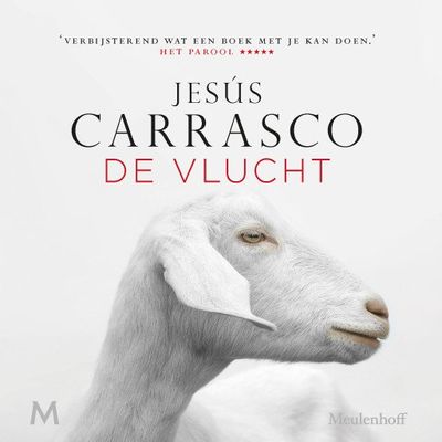 De vlucht