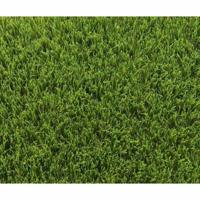 Astro-turf Exelgreen 1 x 5 m Groen 40 mm