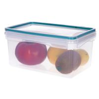 5Five Vershoudbakje met deksel - kunststof - luchtdicht - 20 x 13 x 10 cm - 1800 ml