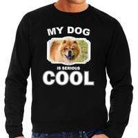 Chow chow honden sweater / trui my dog is serious cool zwart voor heren