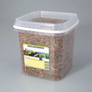 Meelwormen 2.5 liter - Suren Collection