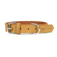 Hondenhalsband Gloria Oasis Geel (1,5 x 40 cm)