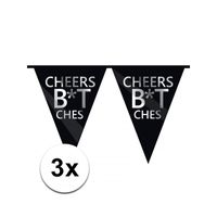 3 x Cheers Bitches vlaggenlijn 10 m - thumbnail