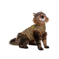 Medical Pet Shirt Kat Luipaard Print - XS - thumbnail