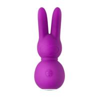 Mini Vibrator FemmeFunn Stubby 2 Paars