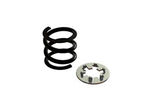 Slipper Spring 1pcs (AR310793)