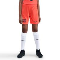 Nike FC Barcelona 3e Broekje 2025-2026 Kids