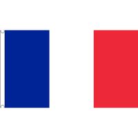 Polyester mega vlag Frankrijk 150 x 240 cm