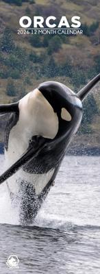 Orka Slimline Kalender 2026