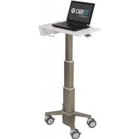 Ergotron C50-1100-0 notebookstandaard Grijs 39,6 cm (15.6 ) Ergotron C50-1100-0 notebookstandaard Grijs 39,6 cm (15.6 )
