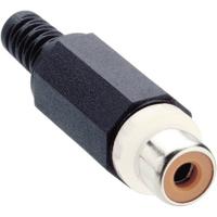 Lumberg XKTO 1-WH Cinch-connector Bus, recht Aantal polen: 2 Wit 1 stuk(s)