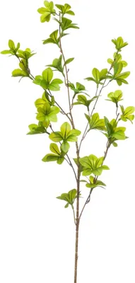 Emerald kunsttak tropaeolum 90cm groen