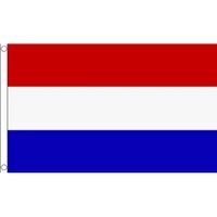 Mini vlag Nederland 60 x 90 cm