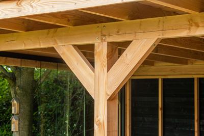 Ligger douglas 5,0x15,0x300 cm Tuindeco - Tuindeco