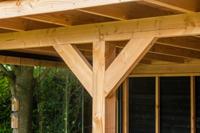 Ligger douglas 5,0x15,0x300 cm Tuindeco - Tuindeco