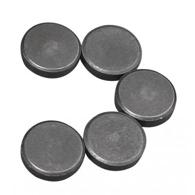 Rayher hobby en knutselen magneten - 20x stuks - formaat D20 x H5 mm - metaal - rond