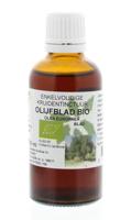 Natura Sanat Olea europaea folia / olijfblad tinctuur bio