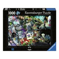 Ravensburger 12000244 puzzel Legpuzzel 1000 stuk(s) Strips - thumbnail