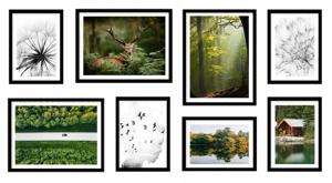 Posters - Natuur / Set van 8