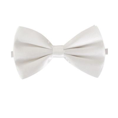 Carnaval verkleed vlinderstrikje - wit - 12 cm - voor dames/heren - strikken - kleding