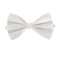 Carnaval verkleed vlinderstrikje - wit - 12 cm - voor dames/heren - strikken - kleding