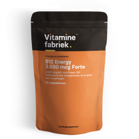 B12 Energy - 3.000 mcg Forte - 90 zuigtabletten - Vitaminefabriek.nl