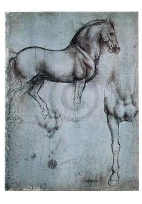 Kunstdruk Leonardo Da Vinci - Studio di cavalli 35x50cm