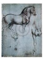 Kunstdruk Leonardo Da Vinci - Studio di cavalli 35x50cm