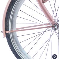 Alpina spatbordstang set 26 clubb desert pink matt