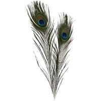 Creativ Company Pauwenveren, l: 25-30 cm, 10 stuk/ 1 doos
