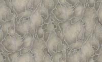 Dutch Wallcoverings Yudashkin 5 10X1,06M - Bruin/Zilver