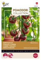 Pomodori Black Cherry - Buzzy