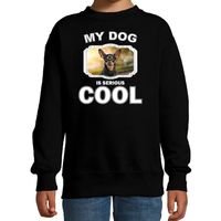 Honden liefhebber trui / sweater Dwergpinscher my dog is serious cool zwart voor kinderen - thumbnail