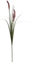 Pure Royal vossenstaart 90cm bordeaux Pure Royal vossenstaart 90cm bordeaux